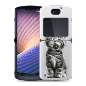 Пластиковый чехол на Motorola Razr 5G с принтом Котенок Пластиковый чехол на Motorola Razr 5G с принтом Котенок