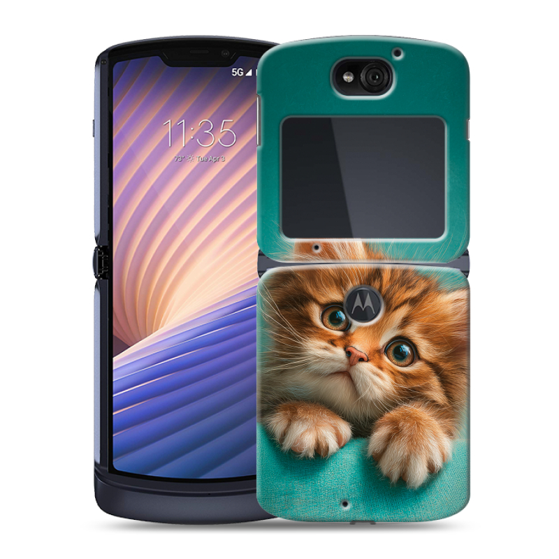 Пластиковый чехол на Motorola Razr 5G с принтом котенок Пластиковый чехол на Motorola Razr 5G с принтом котенок