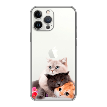 Силиконовый чехол на Iphone 13 Pro с принтом Кошки