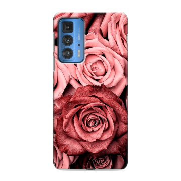 Силиконовый чехол на Motorola Edge 20 Pro с принтом Цветы розы Силиконовый чехол на Motorola Edge 20 Pro с принтом Цветы розы