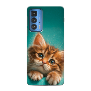 Силиконовый чехол на Motorola Edge 20 Pro с принтом котенок