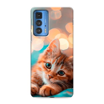 Силиконовый чехол на Motorola Edge 20 Pro с принтом котик