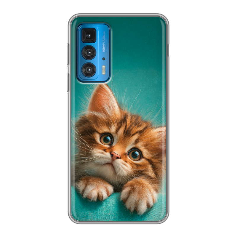 Силиконовый чехол на Motorola Edge 20 с принтом котенок Силиконовый чехол на Motorola Edge 20 с принтом котенок