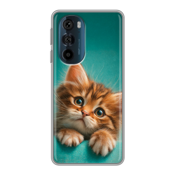 Силиконовый чехол на Motorola Edge 30 Pro с принтом котенок
