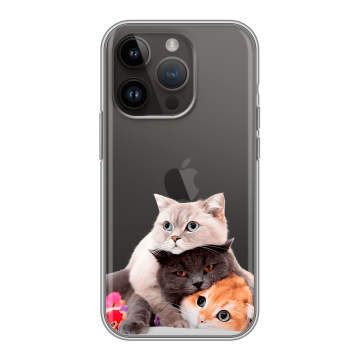 Силиконовый чехол на Iphone 14 Pro с принтом Кошки