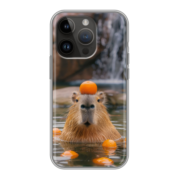 Силиконовый чехол на Iphone 14 Pro с принтом Капибара с апельсином Силиконовый чехол на Iphone 14 Pro с принтом Капибара с апельсином