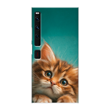 Пластиковый чехол на Huawei Mate Xs 2 с принтом котенок
