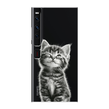 Пластиковый чехол на Huawei Mate Xs 2 с принтом Котенок