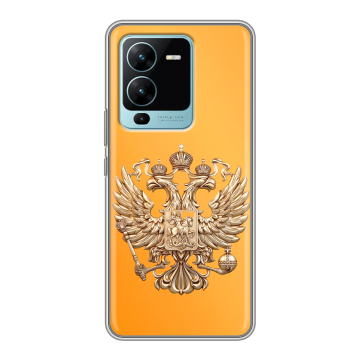 Силиконовый чехол на Vivo V25 Pro с принтом Герб Флаг России