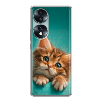 Силиконовый чехол на Huawei Honor 70 с принтом котенок Силиконовый чехол на Huawei Honor 70 с принтом котенок