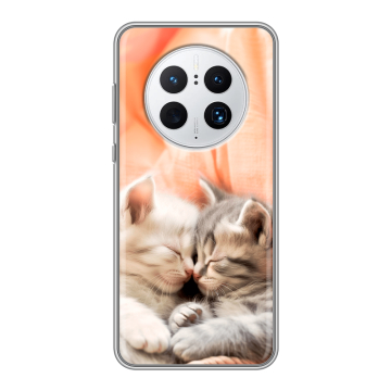 Силиконовый чехол на Huawei Mate 50 Pro с принтом Котята