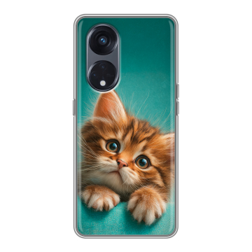 Силиконовый чехол на OPPO Reno8 T 5G с принтом котенок