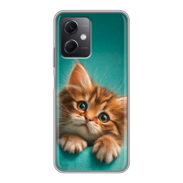Силиконовый чехол на Xiaomi RedMi Note 12 5G с принтом котенок Силиконовый чехол на Xiaomi RedMi Note 12 5G с принтом котенок