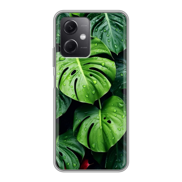 Силиконовый чехол на Xiaomi RedMi Note 12 5G с принтом Листья Силиконовый чехол на Xiaomi RedMi Note 12 5G с принтом Листья