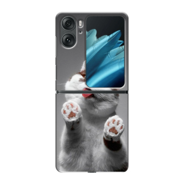 Пластиковый чехол на OPPO Find N2 Flip с принтом Коты Пластиковый чехол на OPPO Find N2 Flip с принтом Коты