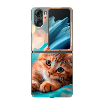 Пластиковый чехол на OPPO Find N2 Flip с принтом котик