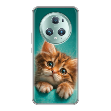 Силиконовый чехол на Huawei Honor Magic 5 Pro с принтом котенок Силиконовый чехол на Huawei Honor Magic 5 Pro с принтом котенок