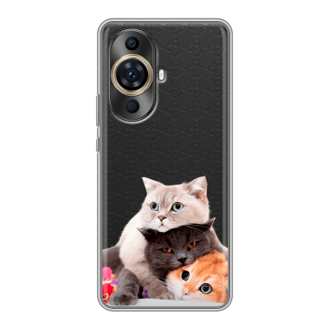 Силиконовый чехол на Huawei Nova 11 Pro с принтом Кошки Силиконовый чехол на Huawei Nova 11 Pro с принтом Кошки