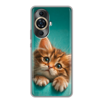 Силиконовый чехол на Huawei Nova 11 Pro с принтом котенок Силиконовый чехол на Huawei Nova 11 Pro с принтом котенок