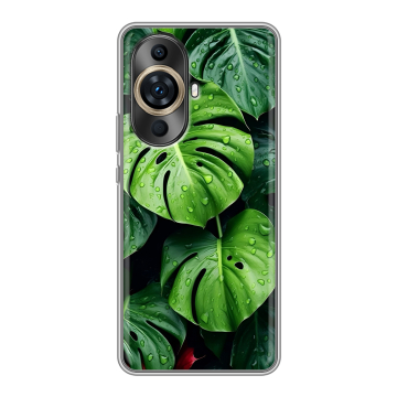 Силиконовый чехол на Huawei Nova 11 Pro с принтом Листья Силиконовый чехол на Huawei Nova 11 Pro с принтом Листья