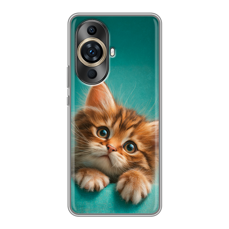 Силиконовый противоударный чехол на Huawei Nova 11 Pro с принтом котенок Силиконовый противоударный чехол на Huawei Nova 11 Pro с принтом котенок