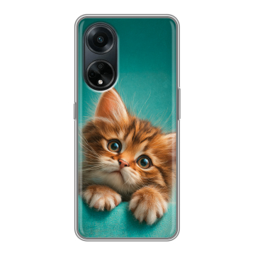 Силиконовый чехол на OPPO A98 с принтом котенок Силиконовый чехол на OPPO A98 с принтом котенок