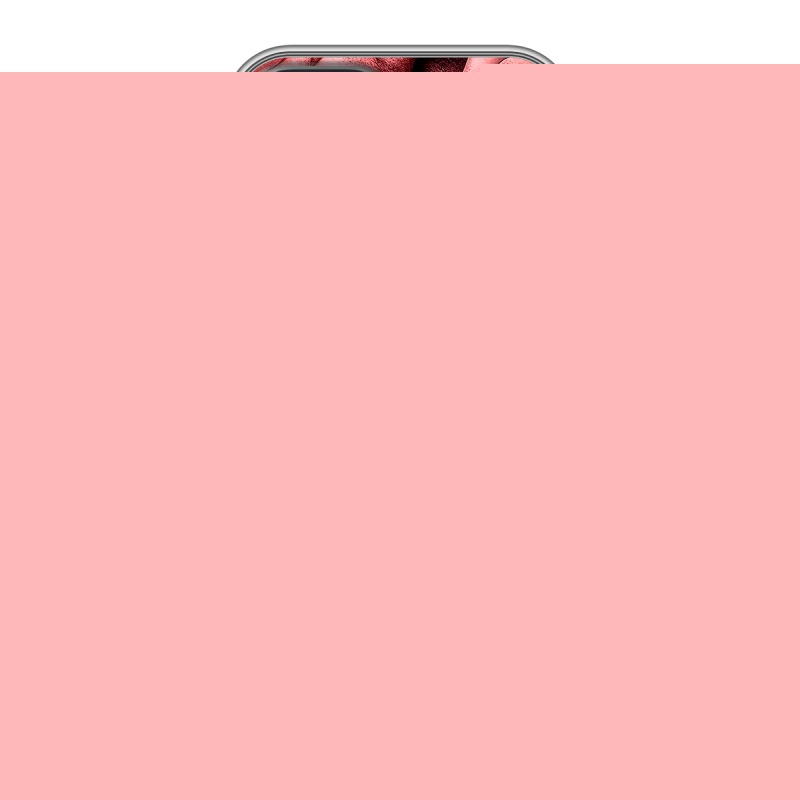 Силиконовый чехол на Iphone 15 с принтом Цветы розы Силиконовый чехол на Iphone 15 с принтом Цветы розы