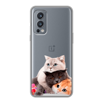 Силиконовый чехол на OnePlus Nord 2 с принтом Кошки Силиконовый чехол на OnePlus Nord 2 с принтом Кошки