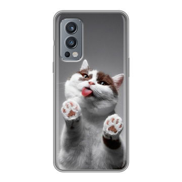 Силиконовый чехол на OnePlus Nord 2 с принтом Коты Силиконовый чехол на OnePlus Nord 2 с принтом Коты