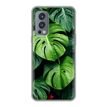 Силиконовый чехол на OnePlus Nord 2 с принтом Листья Силиконовый чехол на OnePlus Nord 2 с принтом Листья
