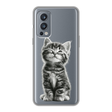 Силиконовый чехол на OnePlus Nord 2 с принтом Котенок Силиконовый чехол на OnePlus Nord 2 с принтом Котенок