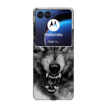 Пластиковый чехол на Motorola Razr 40 Ultra с принтом Волк