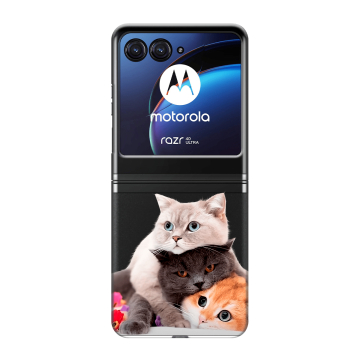 Пластиковый чехол на Motorola Razr 40 Ultra с принтом Кошки