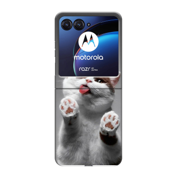 Пластиковый чехол на Motorola Razr 40 Ultra с принтом Коты