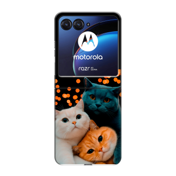 Пластиковый чехол на Motorola Razr 40 Ultra с принтом Кошки