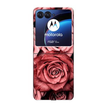 Пластиковый чехол на Motorola Razr 40 Ultra с принтом Цветы розы