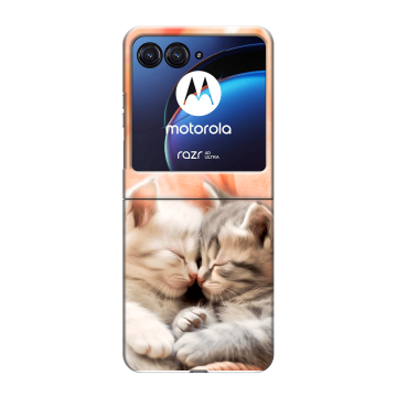 Пластиковый чехол на Motorola Razr 40 Ultra с принтом Котята