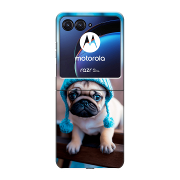 Пластиковый чехол на Motorola Razr 40 Ultra с принтом Мопс в шапке