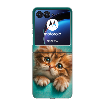 Пластиковый чехол на Motorola Razr 40 Ultra с принтом котенок