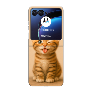 Пластиковый чехол на Motorola Razr 40 Ultra с принтом котенок