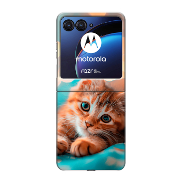 Пластиковый чехол на Motorola Razr 40 Ultra с принтом котик