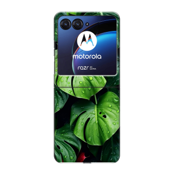 Пластиковый чехол на Motorola Razr 40 Ultra с принтом Листья