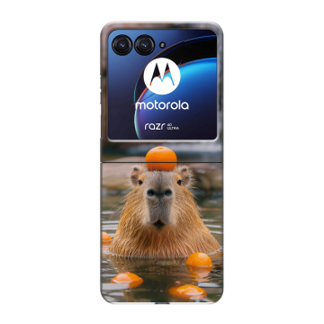 Пластиковый чехол на Motorola Razr 40 Ultra с принтом Капибара с апельсином