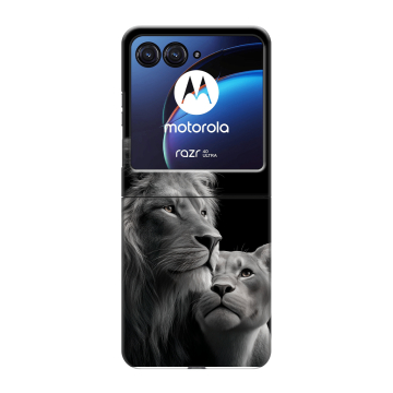 Пластиковый чехол на Motorola Razr 40 Ultra с принтом Лев кошки Пластиковый чехол на Motorola Razr 40 Ultra с принтом Лев кошки