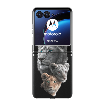 Пластиковый чехол на Motorola Razr 40 Ultra с принтом Львы Пластиковый чехол на Motorola Razr 40 Ultra с принтом Львы