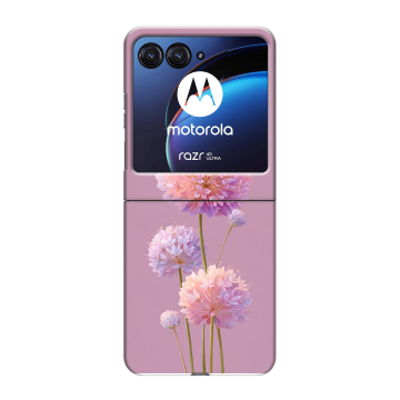 Пластиковый чехол на Motorola Razr 40 Ultra с принтом Цветы Пластиковый чехол на Motorola Razr 40 Ultra с принтом Цветы