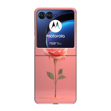 Пластиковый чехол на Motorola Razr 40 Ultra с принтом Розовая роза Пластиковый чехол на Motorola Razr 40 Ultra с принтом Розовая роза