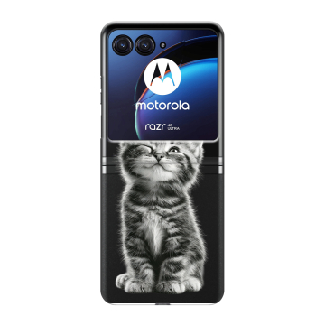 Пластиковый чехол на Motorola Razr 40 Ultra с принтом Котенок