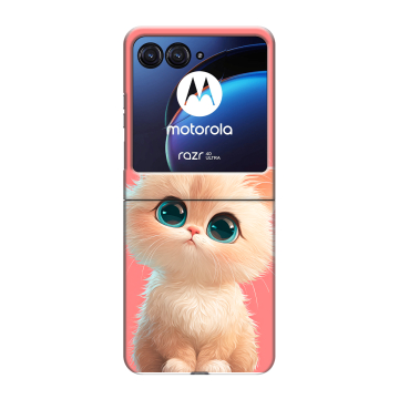 Пластиковый чехол на Motorola Razr 40 Ultra с принтом Розовый котенок Пластиковый чехол на Motorola Razr 40 Ultra с принтом Розовый котенок