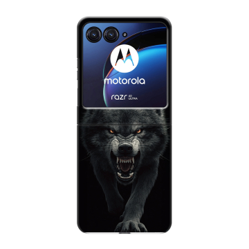Пластиковый чехол на Motorola Razr 40 Ultra с принтом Волк